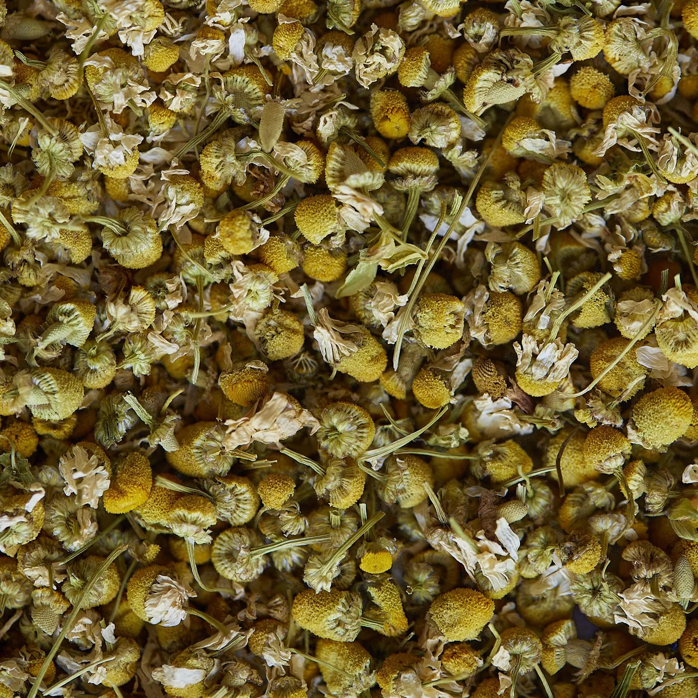 Ceai de plante de MUSETEL - 50 g